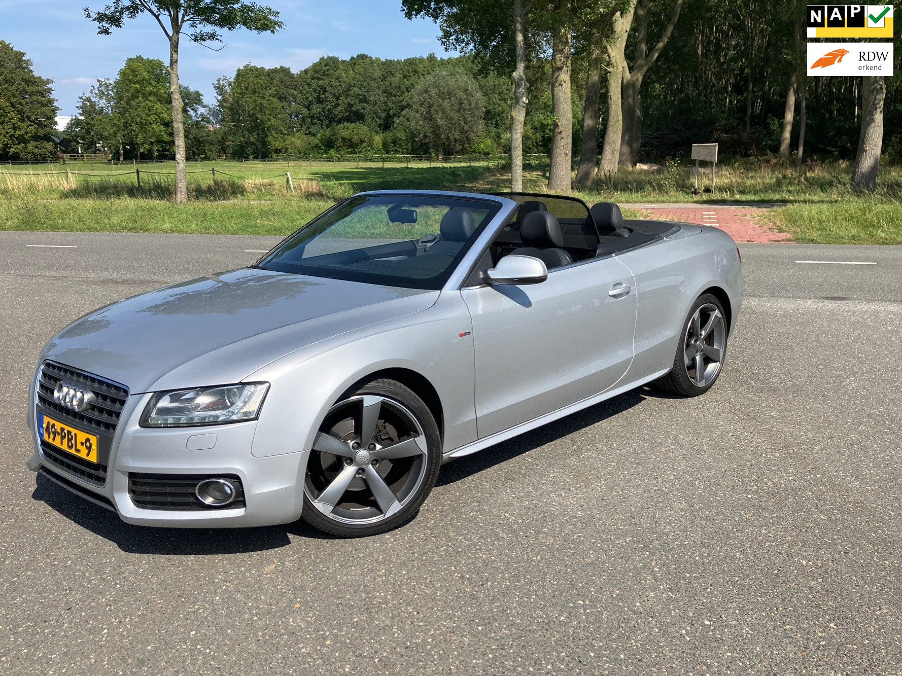 Audi A5 Cabriolet 1.8 TFSI Pro Line S/Navi/Leder/19”/Pdc/Acc/NWST