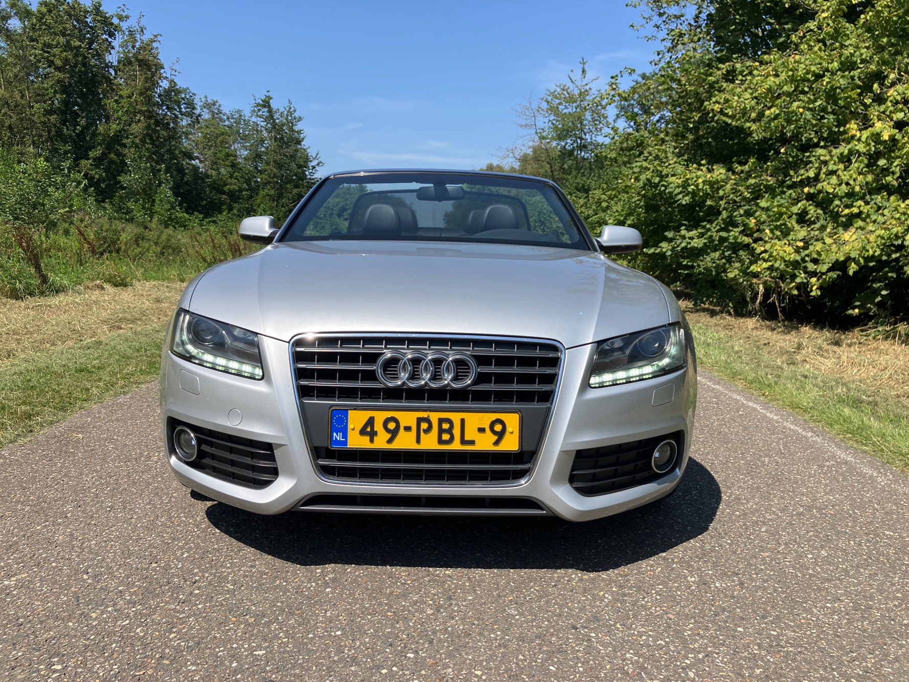 Audi A5 Cabriolet 1.8 TFSI Pro Line S/Navi/Leder/19”/Pdc/Acc/NWST