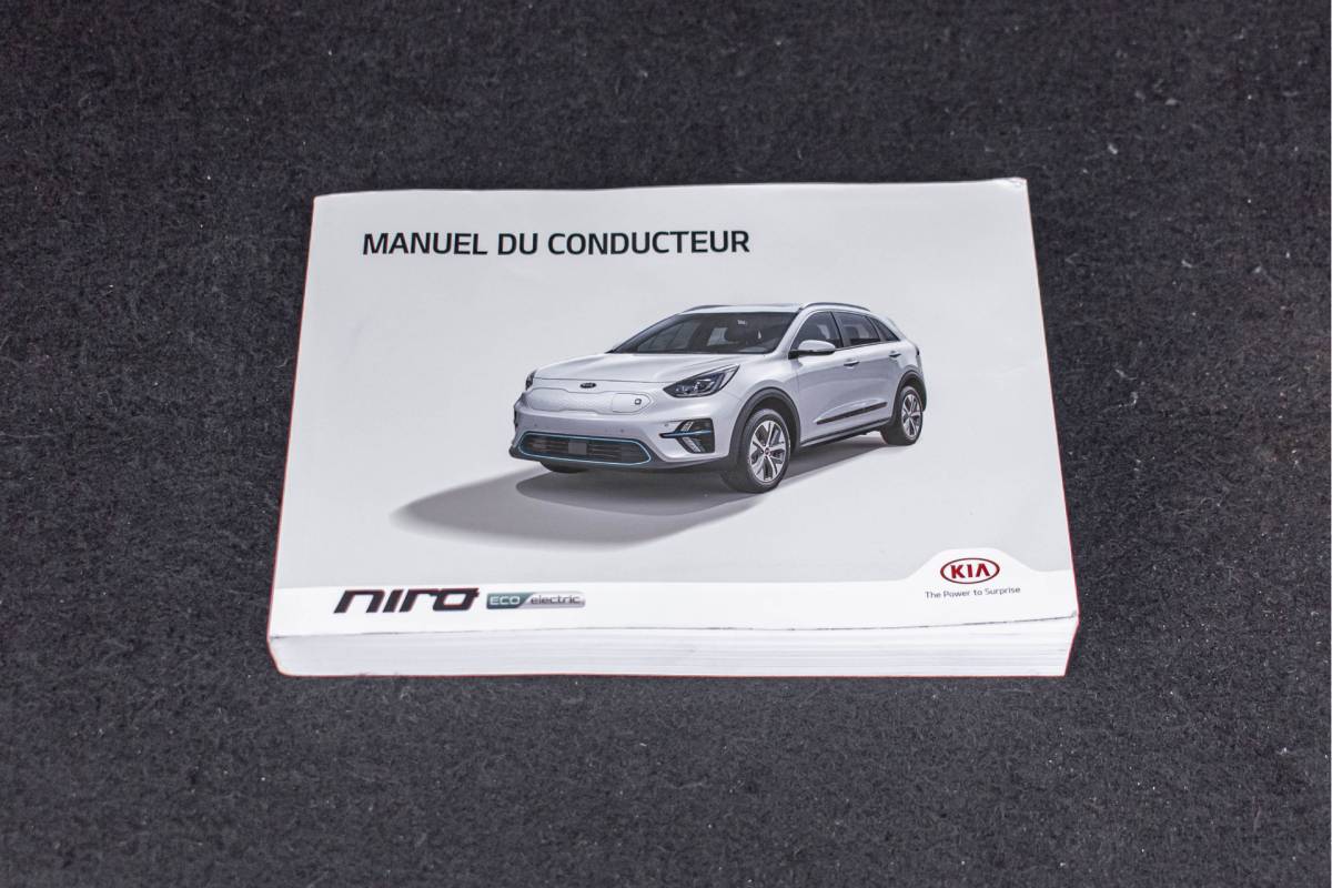 Kia e-Niro Kia e-Niro DynamicPlusLine 64 kWh | Grote accu | 400km range