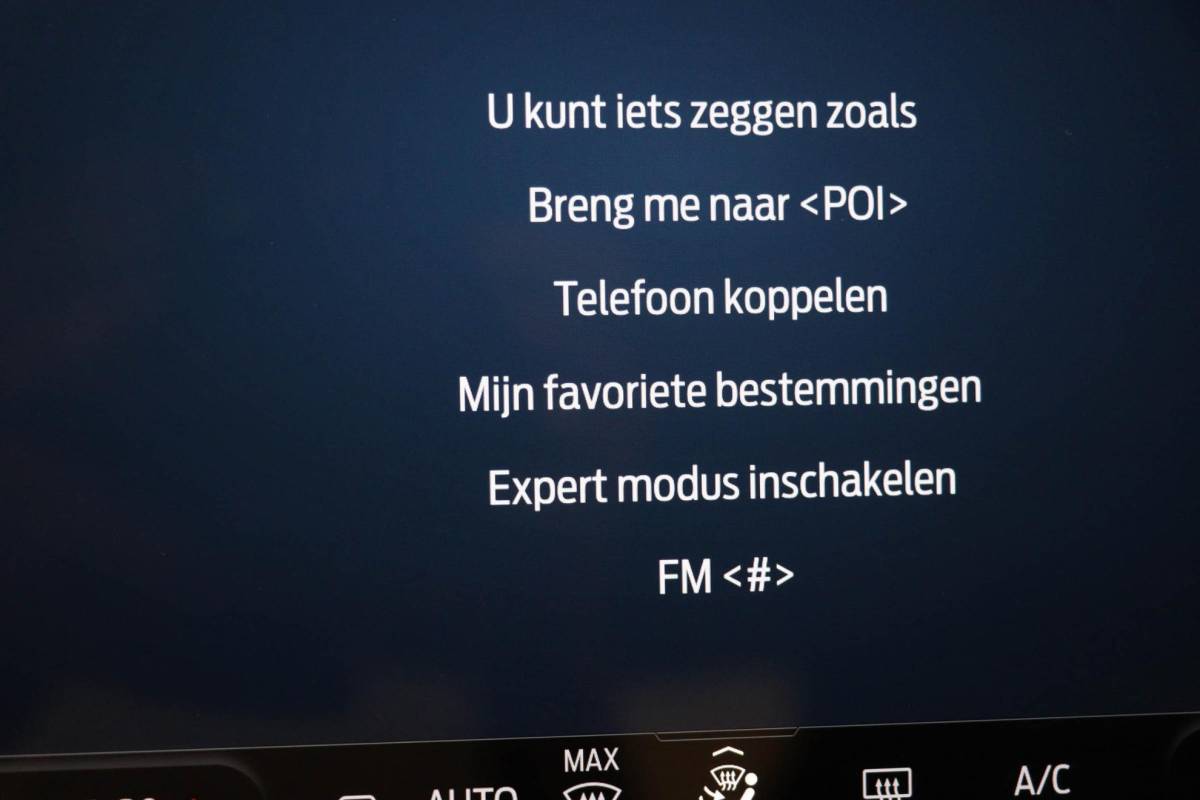 Ford Puma Ford Puma 1.0 EcoBoost Hybrid ST-Line NIEUW MODEL | DAB | APPLE | CAMERA