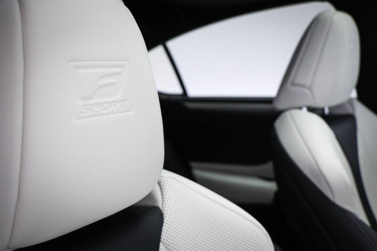 Lexus ES Lexus ES 300h F Sport Line | LEDER | HEAD UP | DAB | MARK LEVINSON