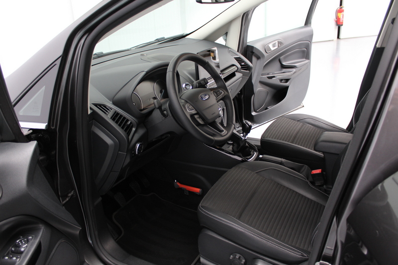 Ford EcoSport Ford EcoSport 1.0 EcoBoost Titanium 126PK, RIJKLAAR!! | DEELS LEDER | NAVIGATIE | CARPLAY | CRUISE | STOEL/RUIT/STUURVERWARMING