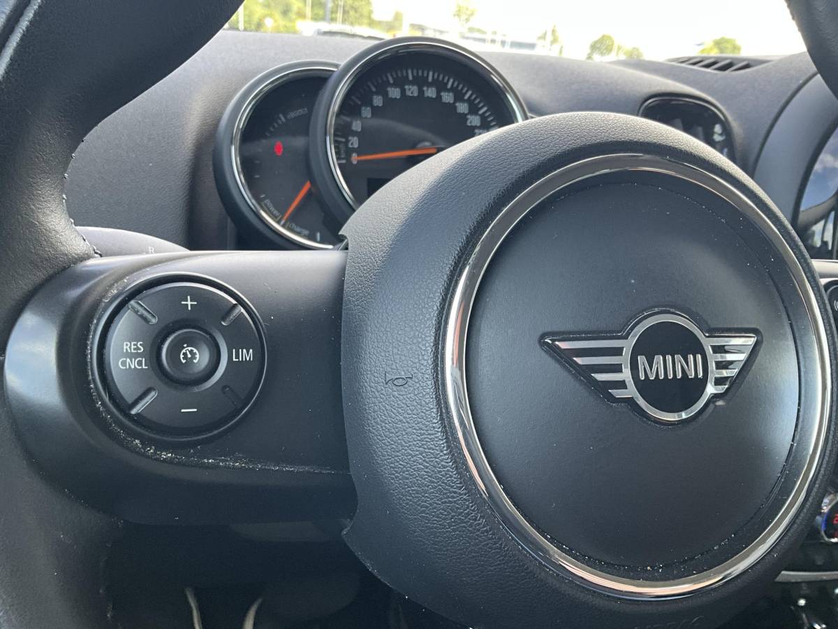 MINI Countryman Mini Mini Countryman 1.5 Cooper S E ALL4 Salt