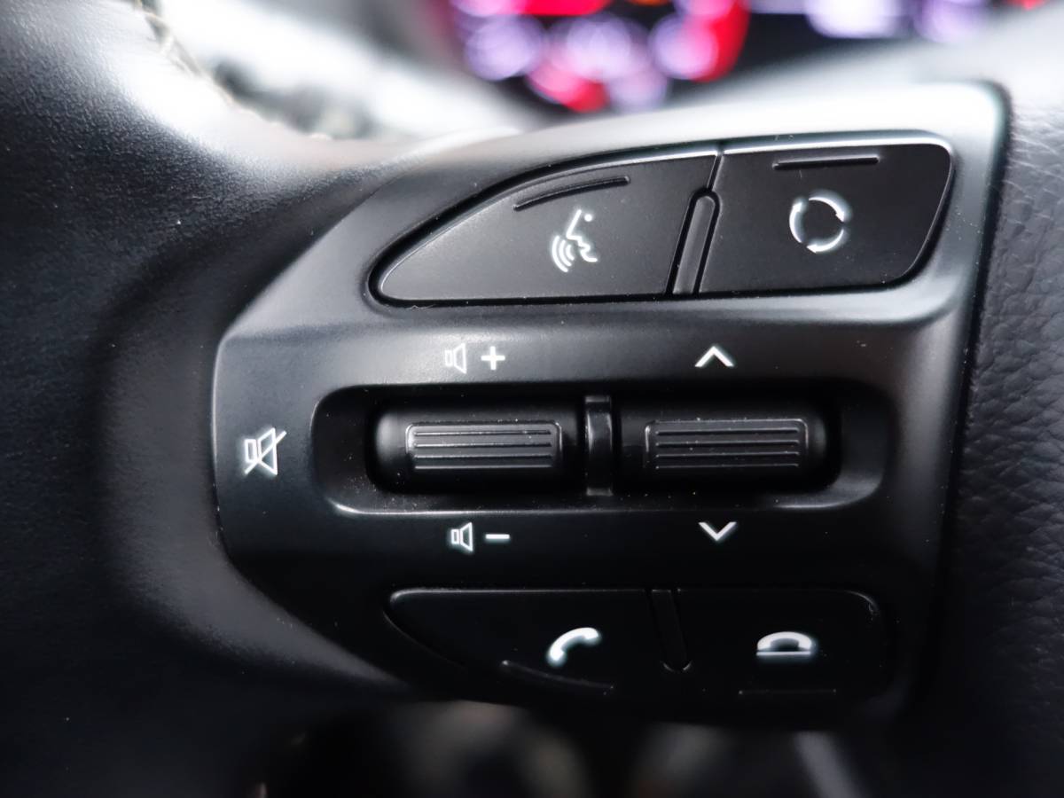 Kia Picanto Kia Picanto 1.0 Design Edition | navigatie | cruisecontrole