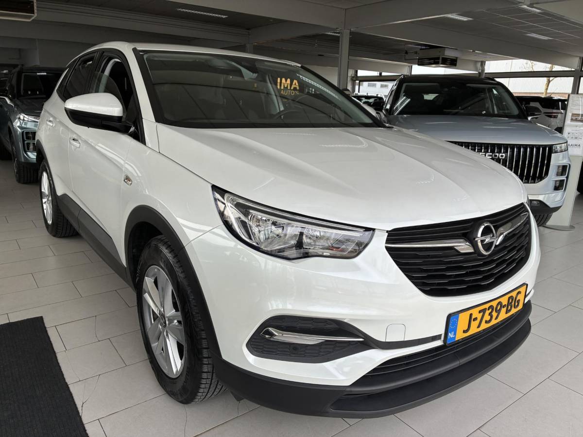 Opel Grandland X Opel Grandland X 1.2 Turbo 130Pk Edition Automaat | Navigatie | Climate Control | Camera | Parkpilot | Cruise control | LED | DAB | LM-Velgen