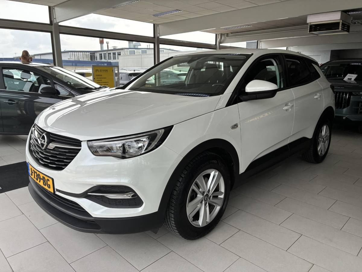 Opel Grandland X Opel Grandland X 1.2 Turbo 130Pk Edition Automaat | Navigatie | Climate Control | Camera | Parkpilot | Cruise control | LED | DAB | LM-Velgen