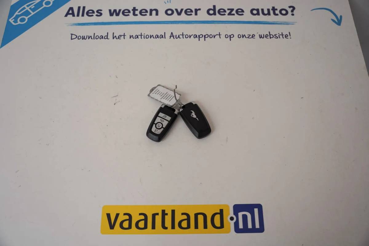 Ford Mustang Mach-E Ford Mustang Mach-E 98 kWh Extended RWD 3-Fase [ B&O Leder Navi Apple / Android Stoelverwarming ]