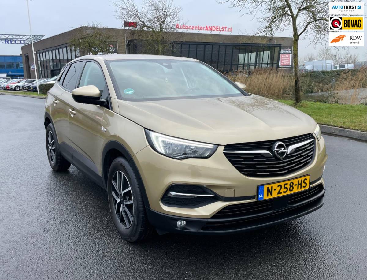 Opel Grandland X Opel Grandland X 1.2 Turbo Innovation, Aut, Trekhaak, Pdc, Stoelverw, Stuurverw, Cruise/Climate control!