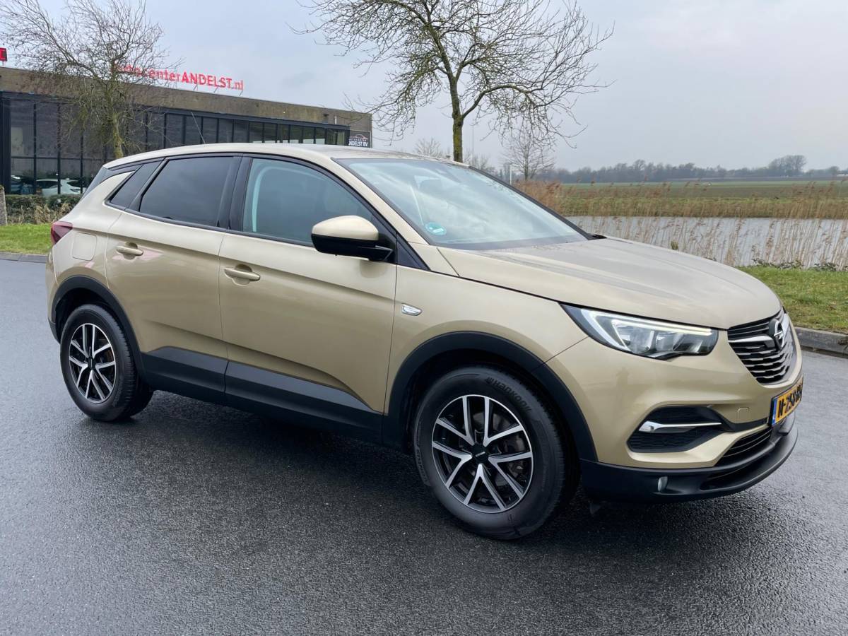 Opel Grandland X Opel Grandland X 1.2 Turbo Innovation, Aut, Trekhaak, Pdc, Stoelverw, Stuurverw, Cruise/Climate control!