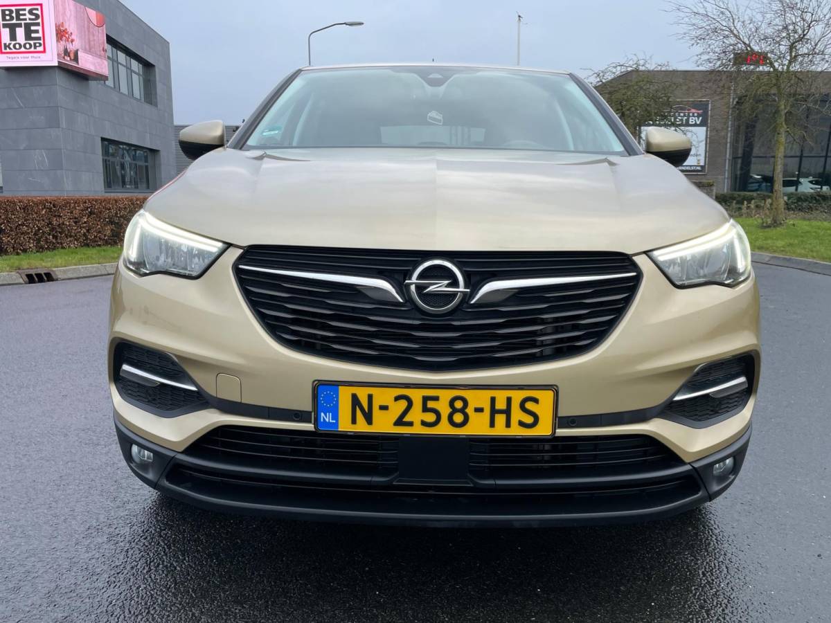 Opel Grandland X Opel Grandland X 1.2 Turbo Innovation, Aut, Trekhaak, Pdc, Stoelverw, Stuurverw, Cruise/Climate control!