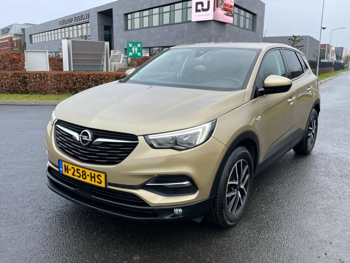 Opel Grandland X Opel Grandland X 1.2 Turbo Innovation, Aut, Trekhaak, Pdc, Stoelverw, Stuurverw, Cruise/Climate control!
