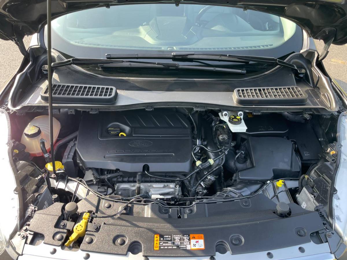 Ford Kuga Ford Kuga 1.5 EcoBoost Titanium, 150PK, Trekhaak, Cam, Navi, Cruise, Climate, Keyless, 1e eig afk, Geen import, Nap, Dealer oh!