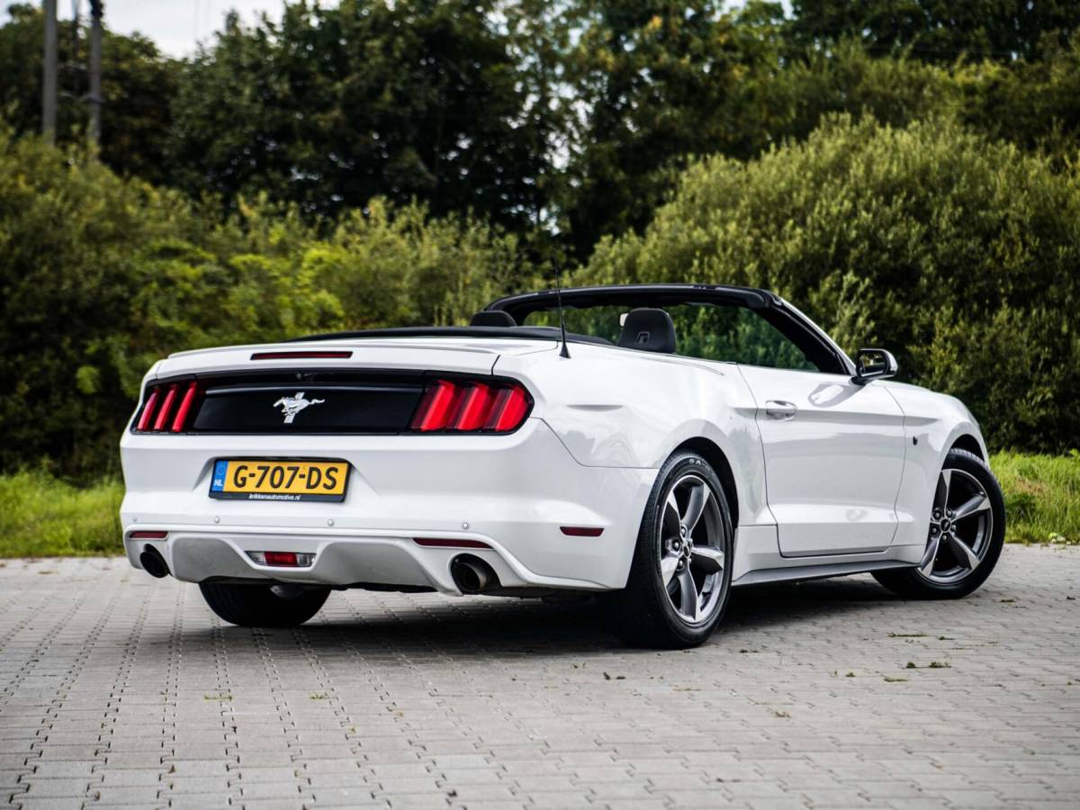 Ford Mustang Ford Mustang Convertible 3.7 V6 305PK Automaat Camera Airco Cruise Keyless PDC