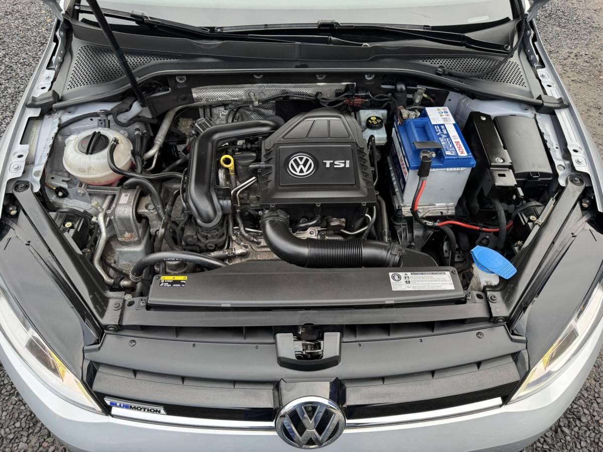Volkswagen Golf Volkswagen Golf station 116pk TSI Comfortline trekhaak cruise