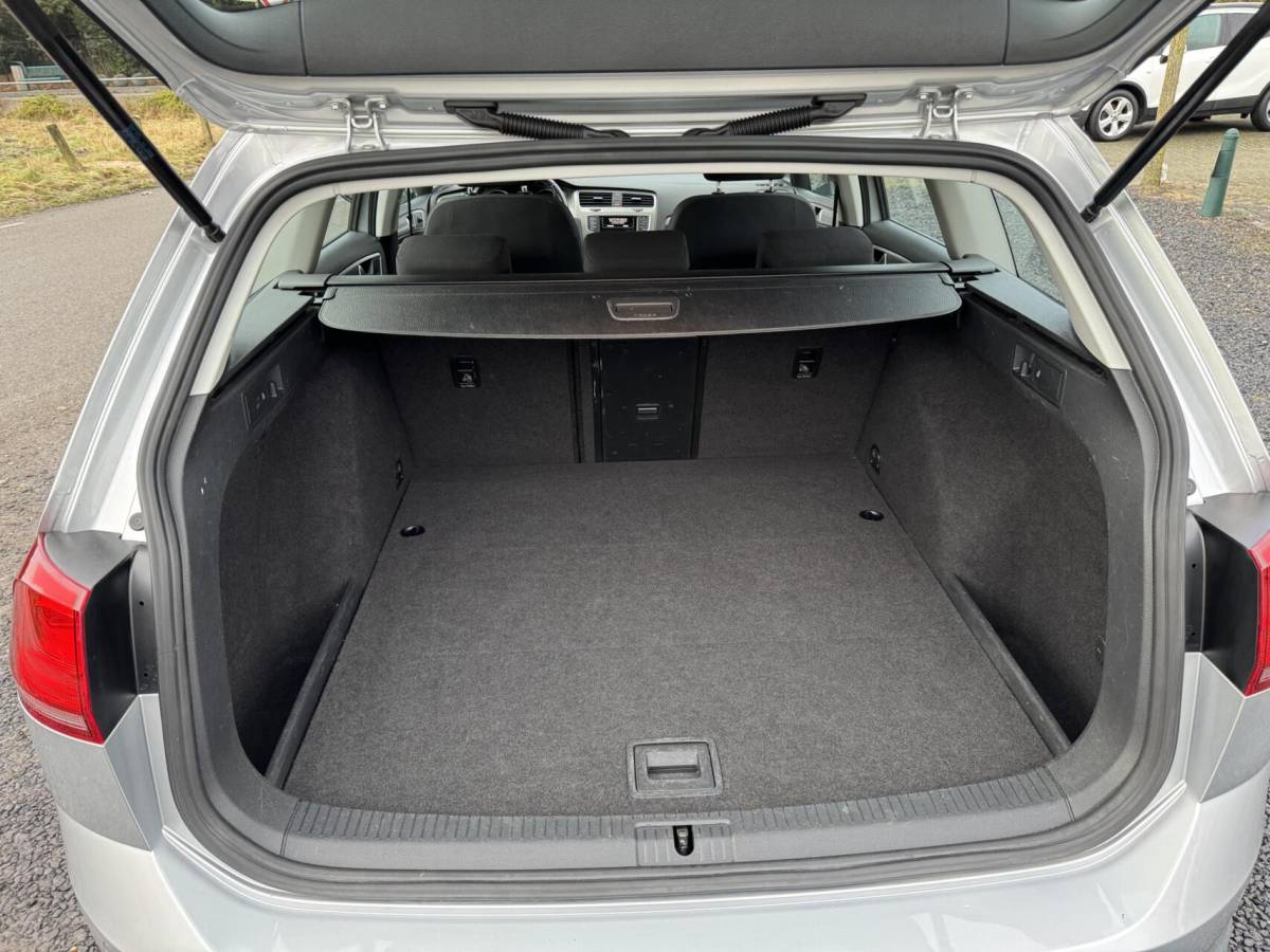 Volkswagen Golf Volkswagen Golf station 116pk TSI Comfortline trekhaak cruise