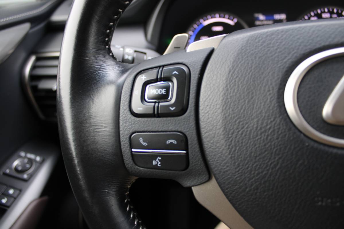 Lexus NX Lexus NX 300h AWD Luxury Line Leer Full-Led