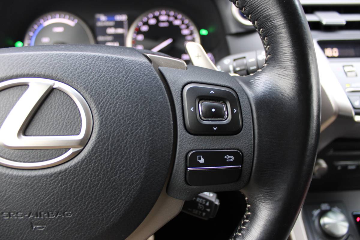 Lexus NX Lexus NX 300h AWD Luxury Line Leer Full-Led