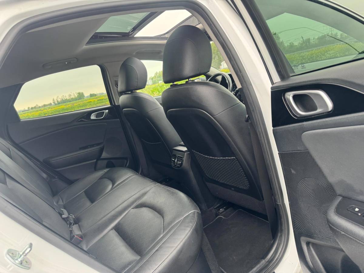 Kia XCeed Kia XCeed 1.6 GDi PHEV ExecutiveLine, Aut, Pano, Leder, 1e eig, Geen import, Nap, Dealer oh!