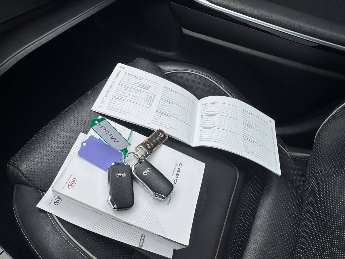 Kia XCeed Kia XCeed 1.6 GDi PHEV ExecutiveLine, Aut, Pano, Leder, 1e eig, Geen import, Nap, Dealer oh!