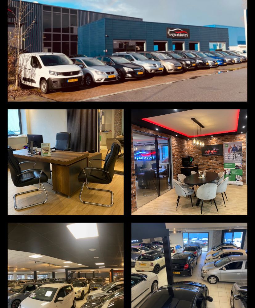 Fiat Panda Fiat Panda 0.9 TwinAir Lounge | AUTOMAAT | AIRCO | PDC | ELEK.RAMEN | NAP | APK.