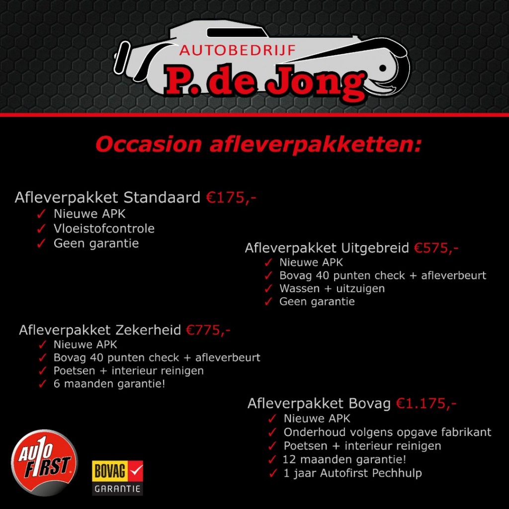 SEAT Ibiza Seat Ibiza 1.0 TSI Business intense, Stoelverwarming, Stuurwielbediening, DAB+, PDC