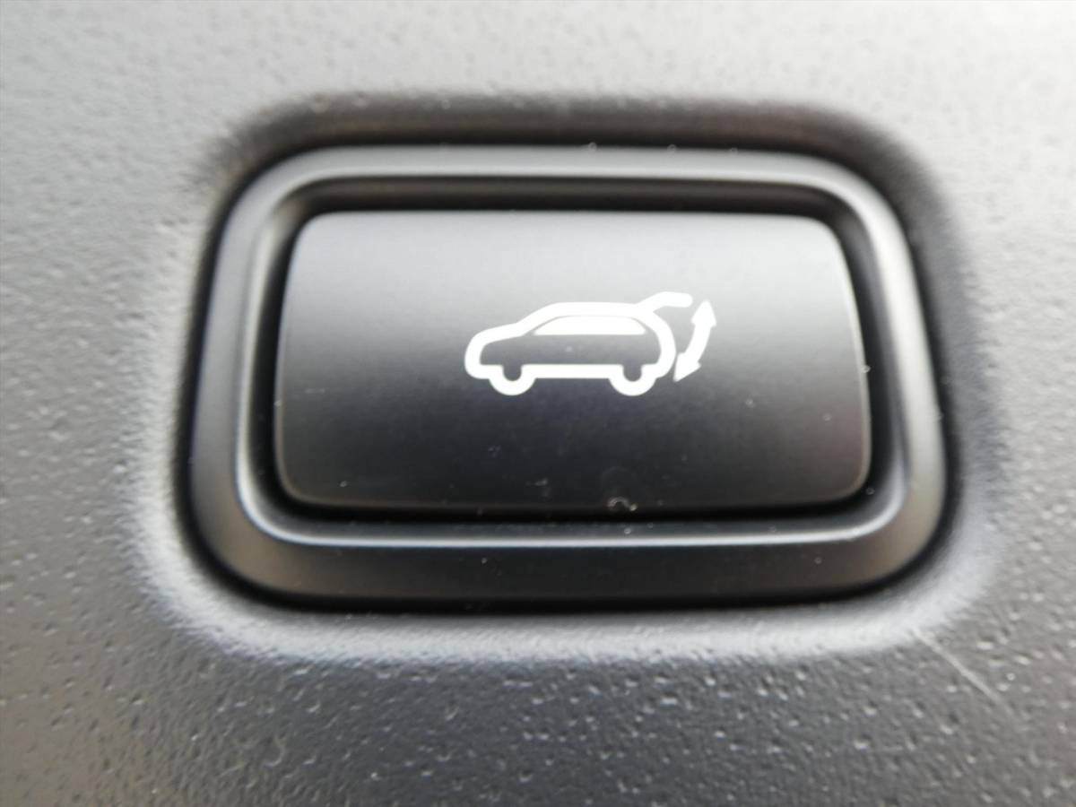 Kia Niro Kia Niro 1.6 GDi Plug-in Hybrid 171pk DCT6 DynamicPlusLine