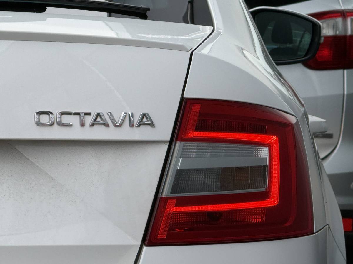 Škoda Octavia ŠKODA Octavia BWJ 2019 1.5 TSI 150 PK Greentech Ambition Business AUTOMAAT | TREKHAAK | PANO | CARPLAY + ANDROID | NAVI | CLIMA | CRUISE | LMV | PDC