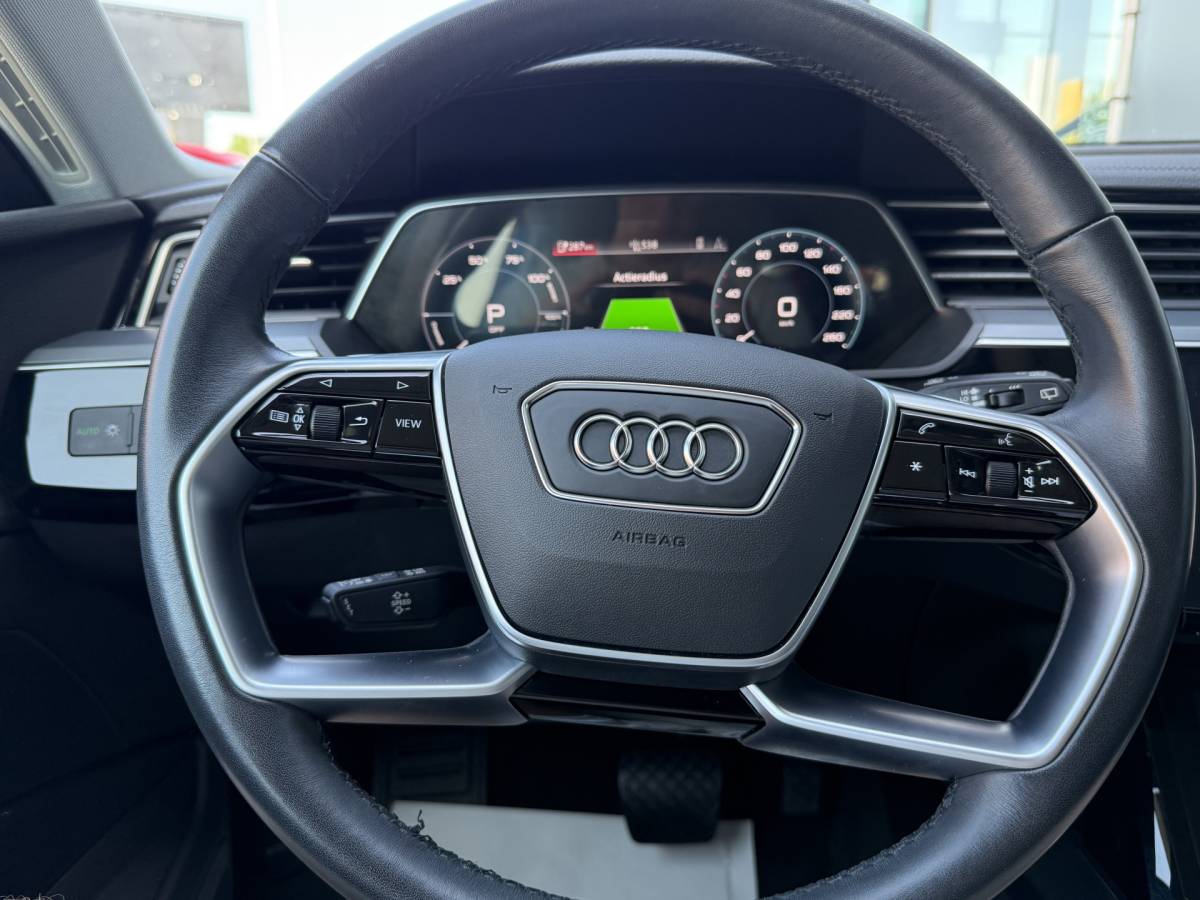 Audi Q8 e-tron Audi Q8 e-tron BWJ 2023 50 quattro340 PK  Edition 95 kWh TREKHAAK | PANO | LEDER | FULL LED | STOELVER. | DAB + | CARPLAY + ANDROID | NAVI | CLIMA | CRUISE | LMV | PDC