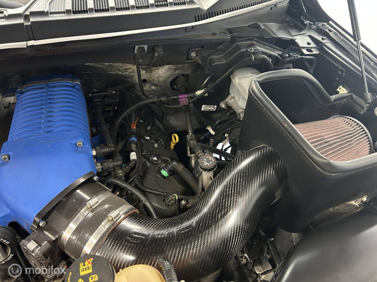 Ford F-150 Ford F150 5.0 V8 Shelby Super Snake |759pk| Collecters item
