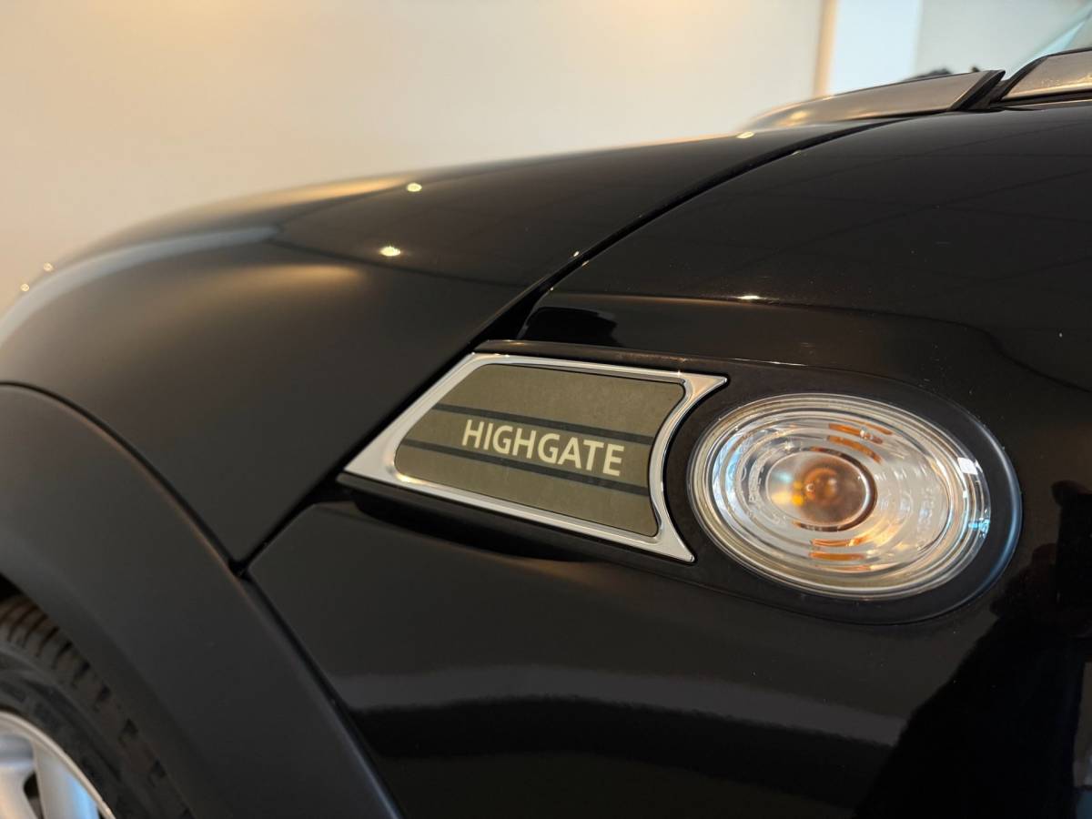 MINI Cooper Cabrio Mini Cabrio 1.6 Cooper Highgate *Special Edition* Leer|Stoelverw.|Cruise|PDC|NAP