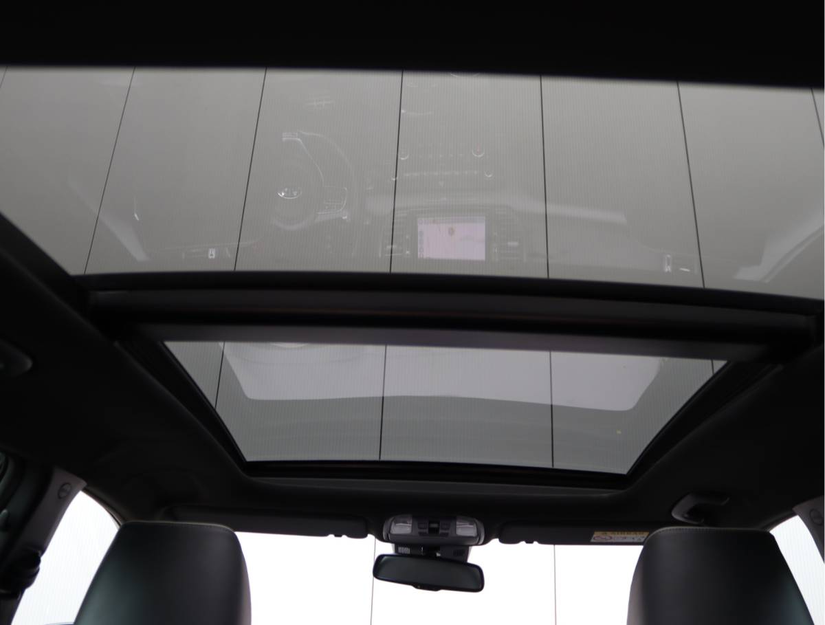 Kia Sportage Kia Sportage 1.6 T-GDI 4WD GT-Line | Trekhaak | Pano | Leder | Camera | JBL