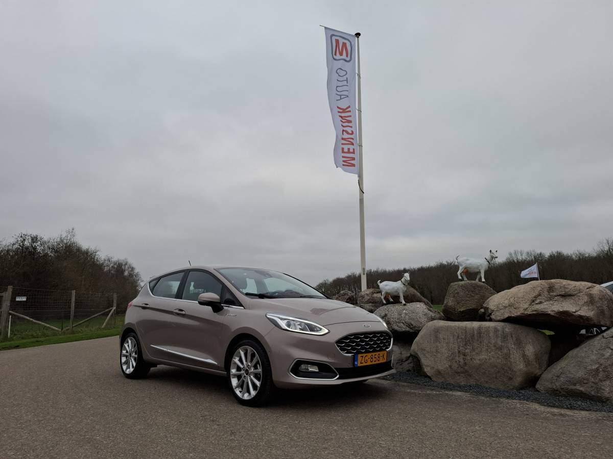 Ford Fiesta Ford Fiesta 1.0 EcoBoost Vignale CRUISE NAVI CAMERA ECC XENON PARK ASSIST ST LINE