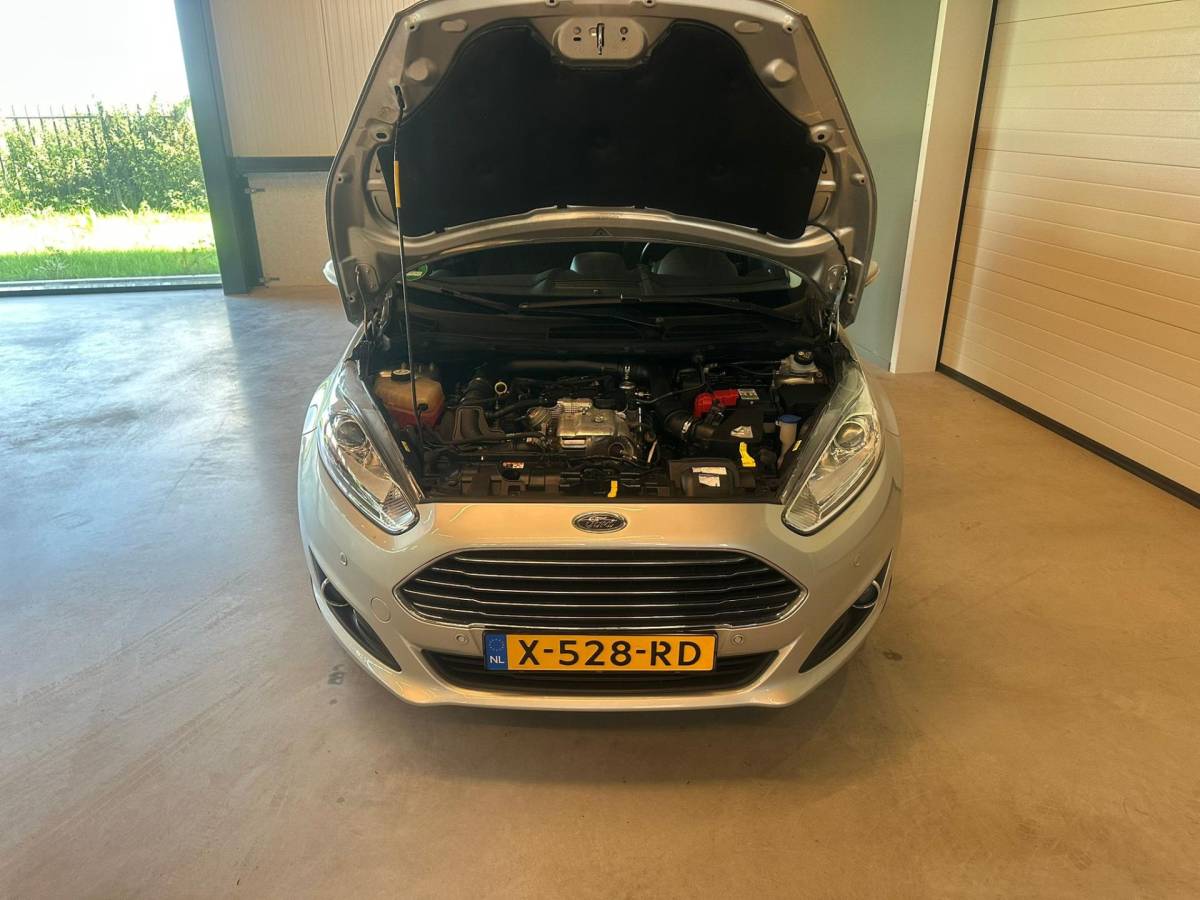 Ford Fiesta Ford Fiesta 1.0 EcoBoost 5-DEURS STYLE|CLIMA AIRCO|LM-VELG|NAVIGATIE|CRUISECONTROL|ISOFIX|BLUETOOTH|STOELVERWARMING|104.815 km NAP