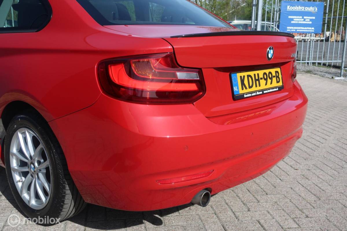 BMW 2 Serie BMW 2-serie Coupé 218i Centennial Executive