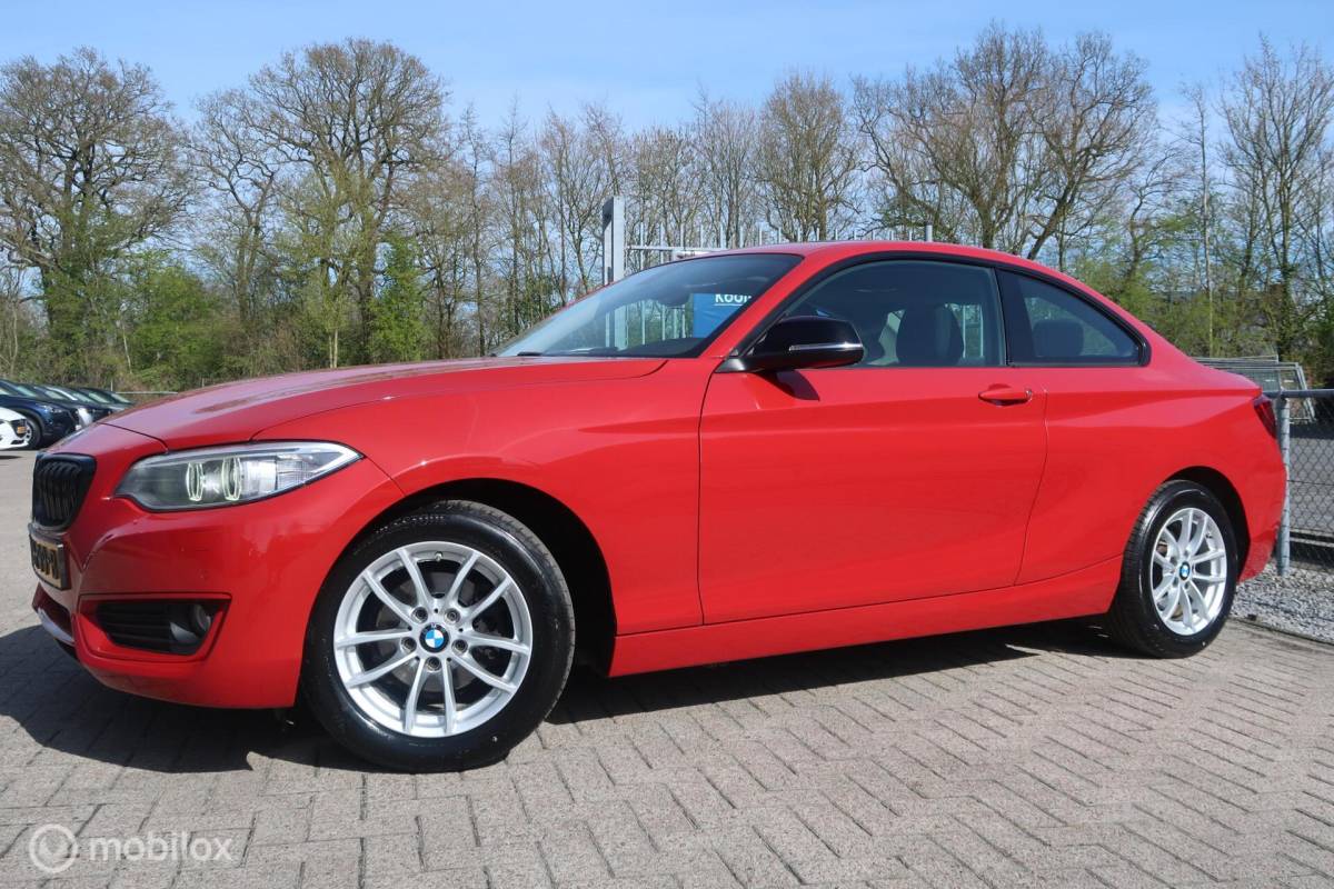 BMW 2 Serie BMW 2-serie Coupé 218i Centennial Executive