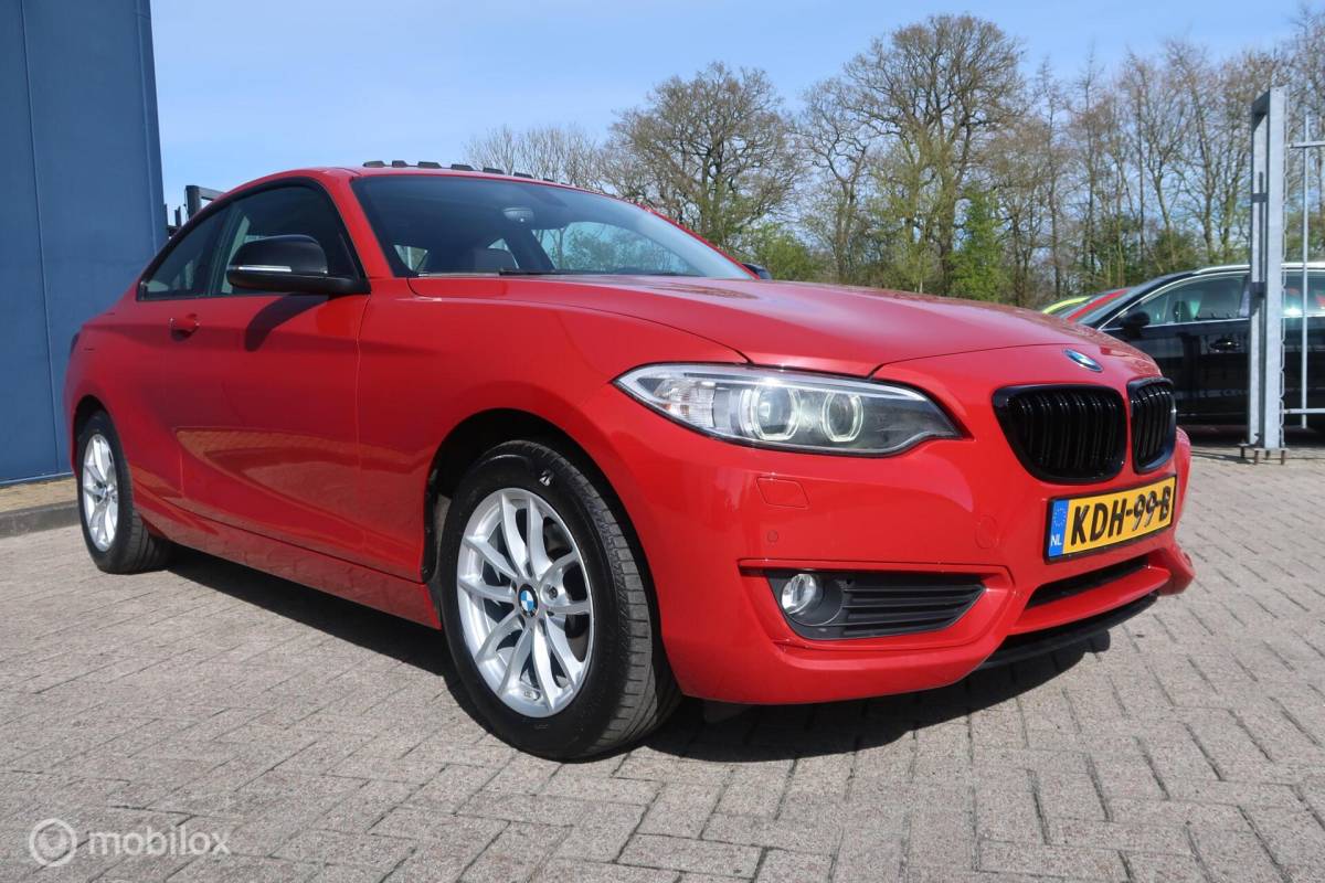 BMW 2 Serie BMW 2-serie Coupé 218i Centennial Executive