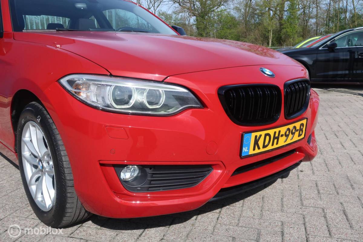 BMW 2 Serie BMW 2-serie Coupé 218i Centennial Executive