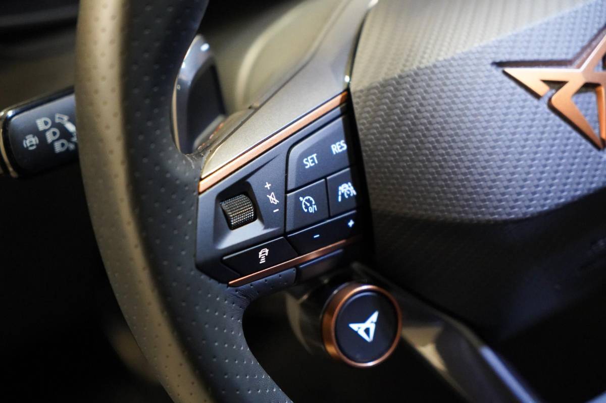 CUPRA Formentor CUPRA Formentor 2.0 TSI 4DRIVE LEDER|PANO|MEMORY|BEATS AUDIO|