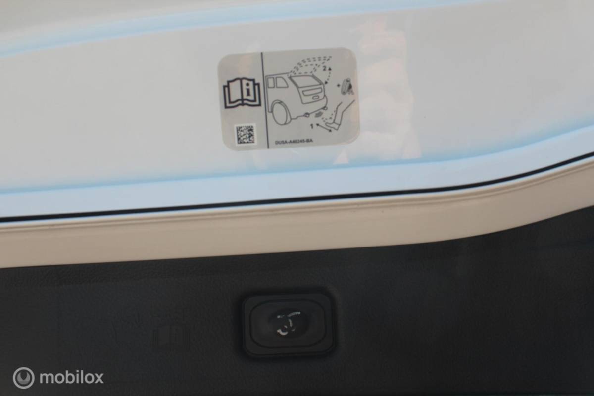 Ford S-Max Ford S-Max 1.5 ST-Line Pano/20Inch/Leder/Camera/Trekhaak/Etc