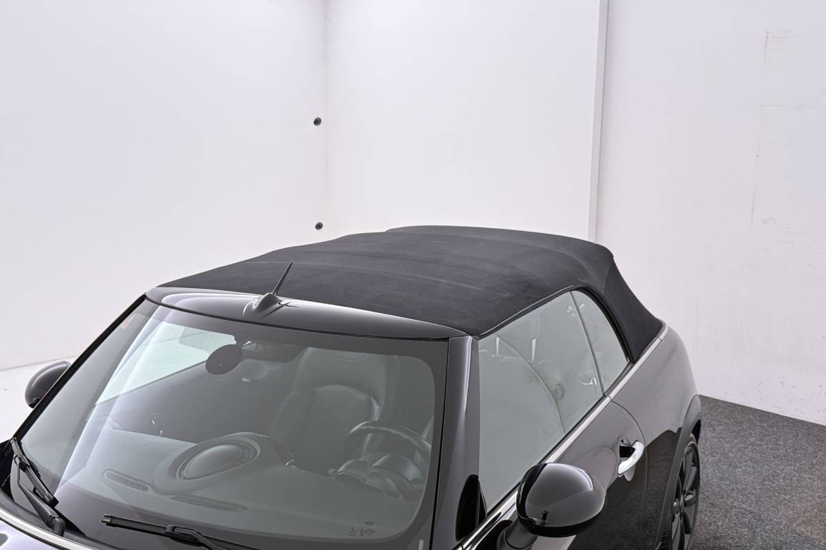 MINI Cooper S Cabrio Mini Cabrio 2.0 Cooper S Serious Business | Keyless Entry/Start | Leer | Sportstoelen | Org NL | Breed Navi |