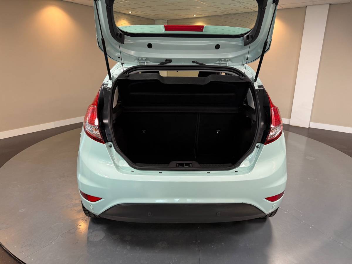 Ford Fiesta Ford Fiesta 1.0 Style Ultimate *Mint-Groen!* All-seasons|Cruise|Navi|PDC|BT|NAP