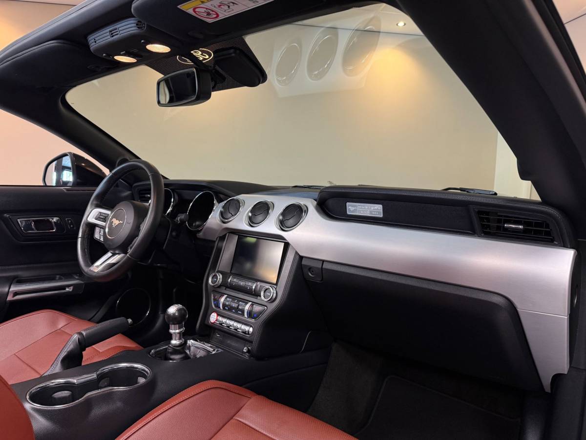 Ford Mustang Ford Mustang Convertible 2.3 EcoBoost *13.000Km* 317Pk! Shaker|Camera|Stoelverw./verkoeling|Org.NL/NAP