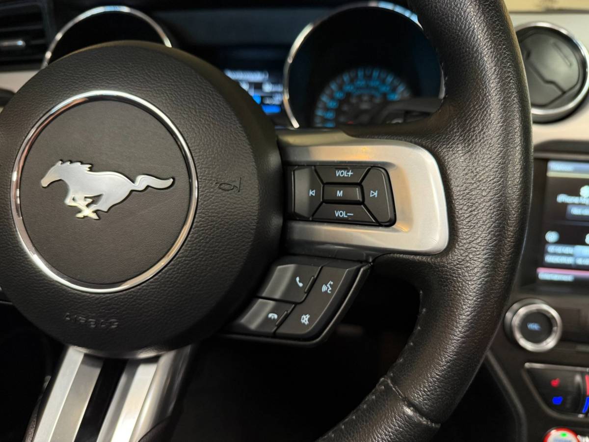 Ford Mustang Ford Mustang Convertible 2.3 EcoBoost *13.000Km* 317Pk! Shaker|Camera|Stoelverw./verkoeling|Org.NL/NAP
