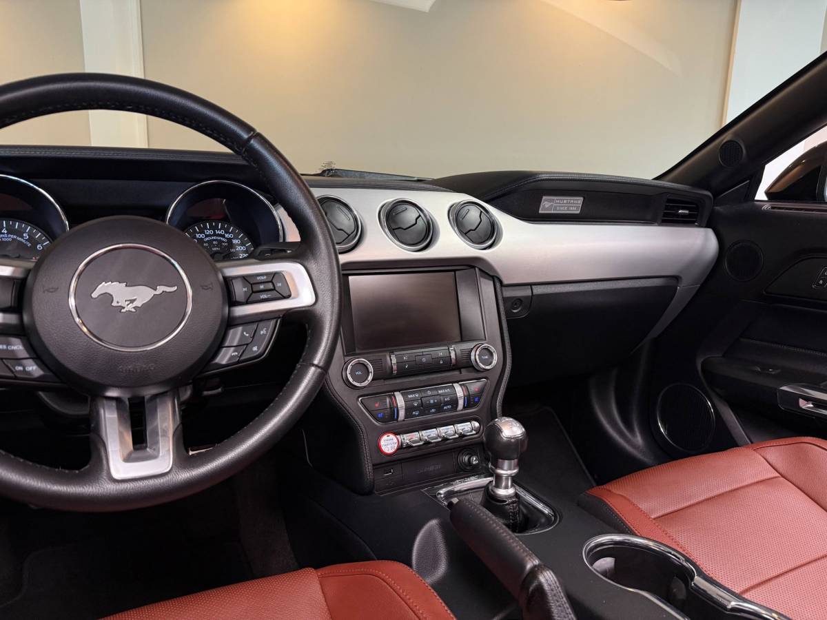 Ford Mustang Ford Mustang Convertible 2.3 EcoBoost *13.000Km* 317Pk! Shaker|Camera|Stoelverw./verkoeling|Org.NL/NAP