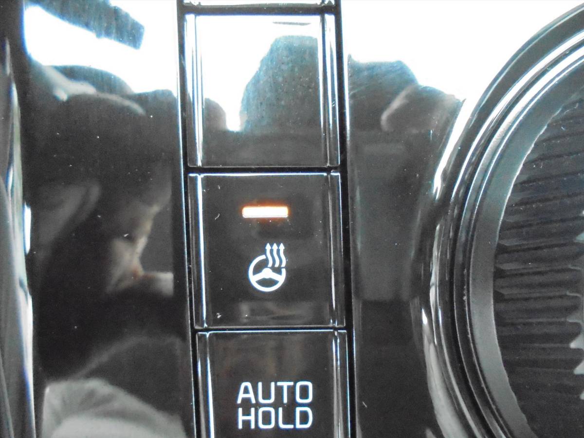Kia Niro Kia Niro 1.6 GDi PLUGIN PHEV 8.917 KM EL. STOELVERSTELLING