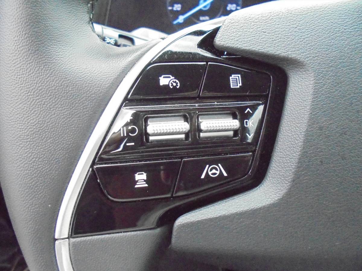 Kia Niro Kia Niro 1.6 GDi PLUGIN PHEV 8.917 KM EL. STOELVERSTELLING