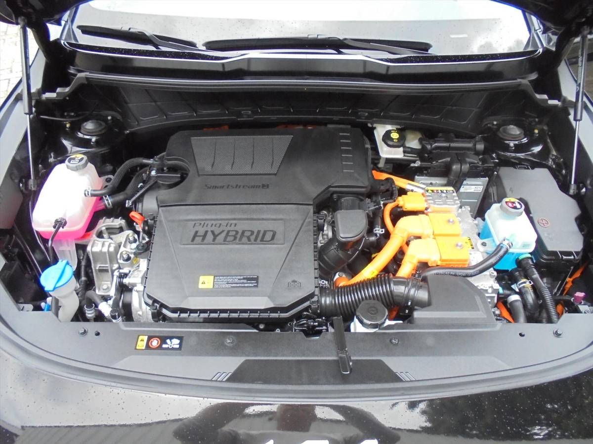 Kia Niro Kia Niro 1.6 GDi PLUGIN PHEV 8.917 KM EL. STOELVERSTELLING
