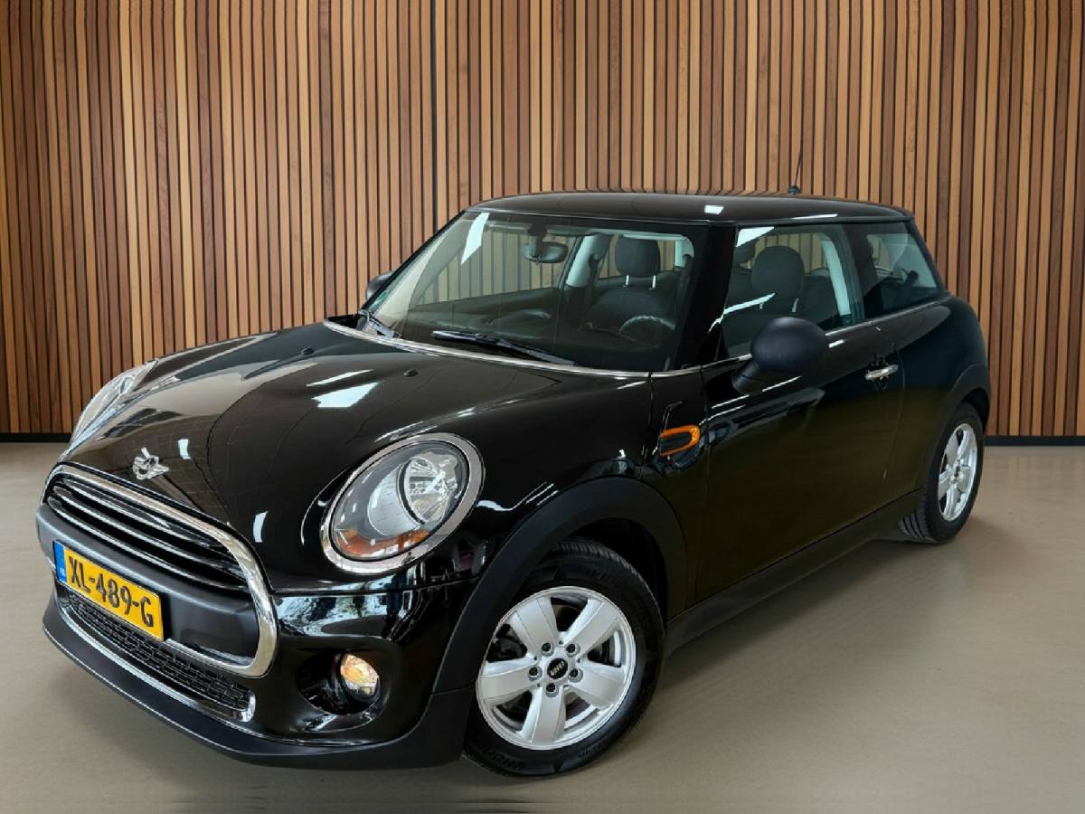 MINI 3-Deurs
