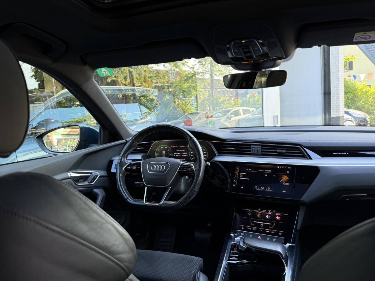 Audi e-tron Audi e-tron 55 quattro advanced Pro Line S 95 kWh