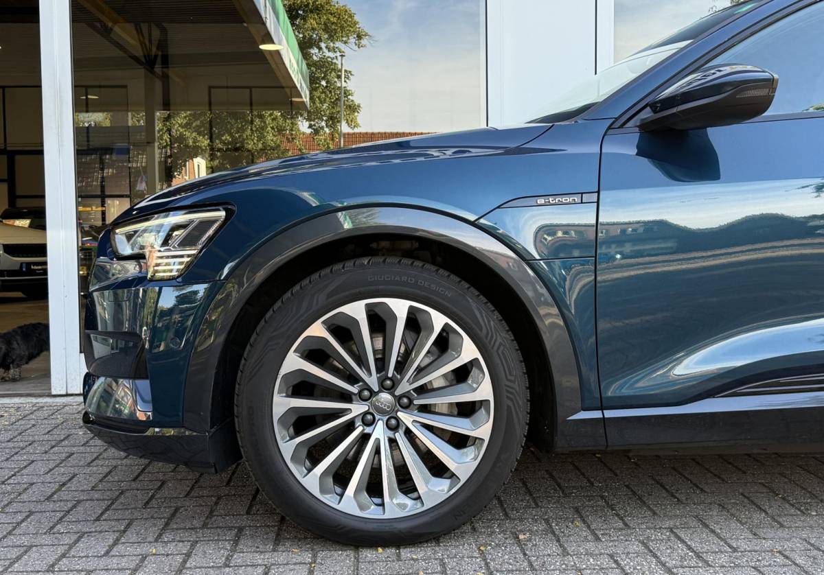 Audi e-tron Audi e-tron 55 quattro advanced Pro Line S 95 kWh